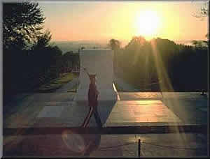 Tomb Of The Unknown Soldiers
