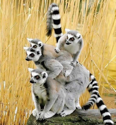 awesome photo