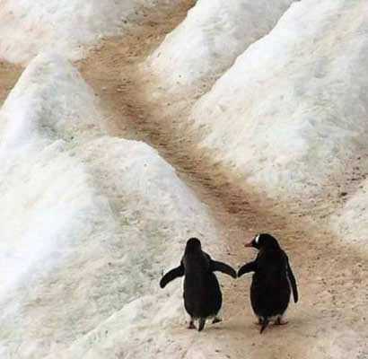 awesome photo