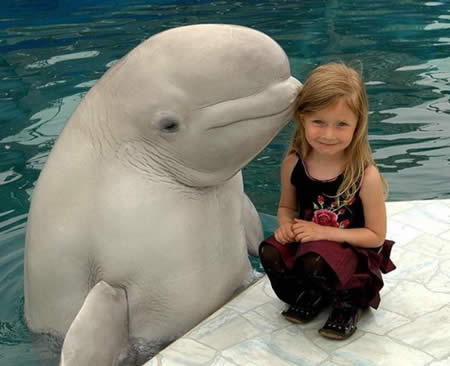 awesome photo
