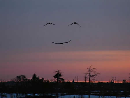 awesome photo