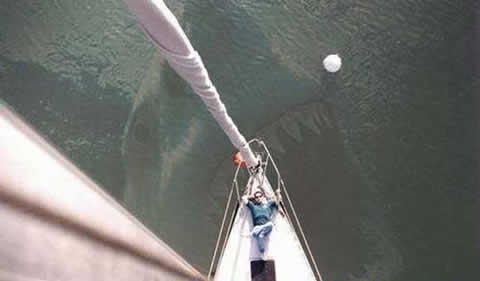 When Graphic Artists Get Bored