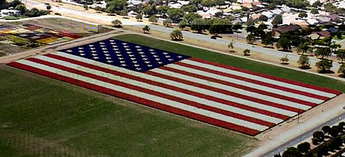 THE ONLY FLAG THAT DOESN'T FLY