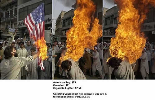 The American Flag Fights back