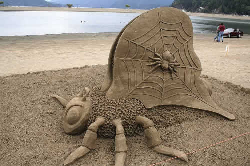 Oregon Sand Castles