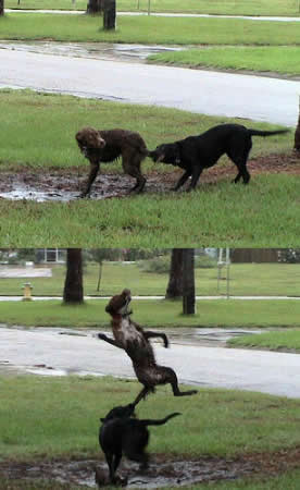 Great Pics