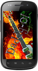 Download your FREE Daddy-O! mobile app and keep up with all the latest from Daddy-O!